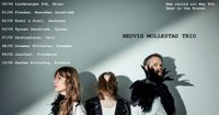 Hedvig Mollestad Trio