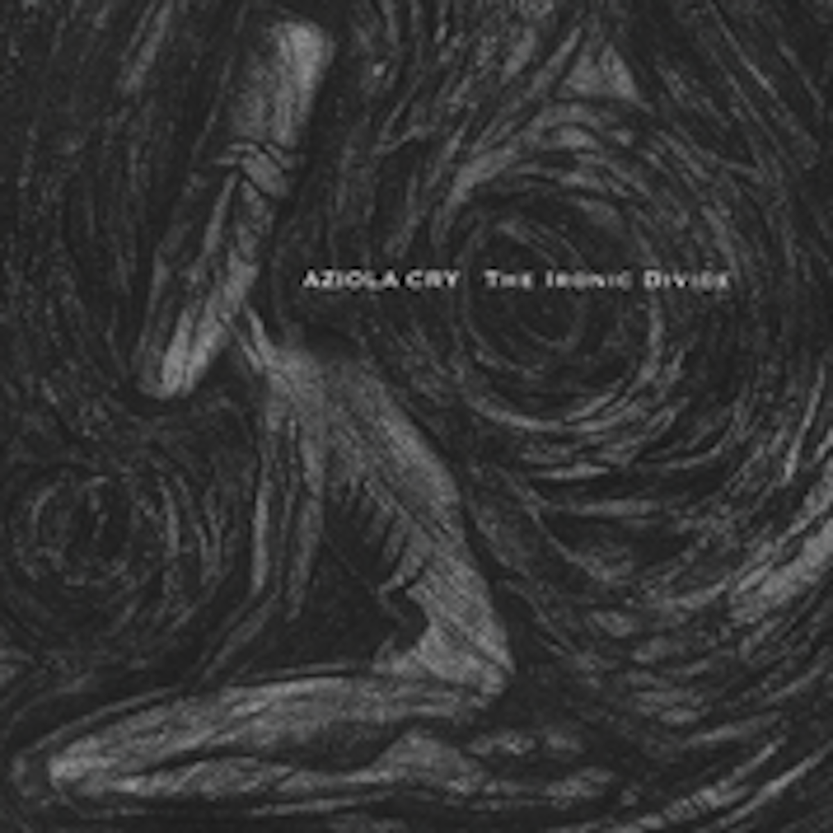 The Ironic Divide - CD