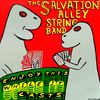 The Salvation Alley String Band - Enjoy This While It Lasts - CD