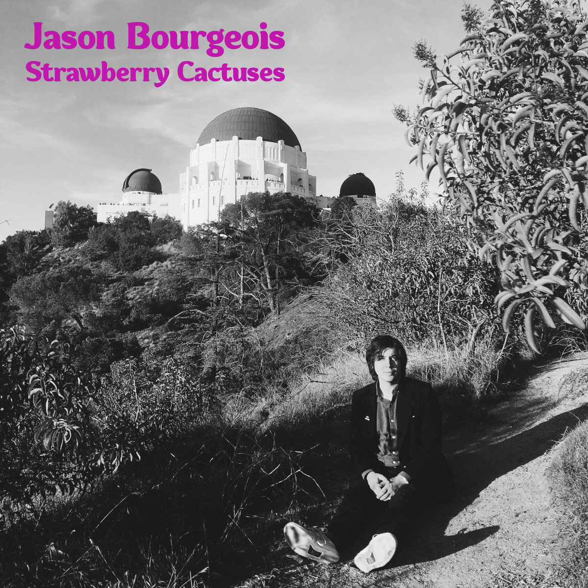 Jason Bourgeois - Strawberry Cactuses - CD