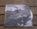 Jason Bourgeois - Strawberry Cactuses - CD