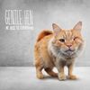 Gentle Hen - Be Nice to Everyone - CD