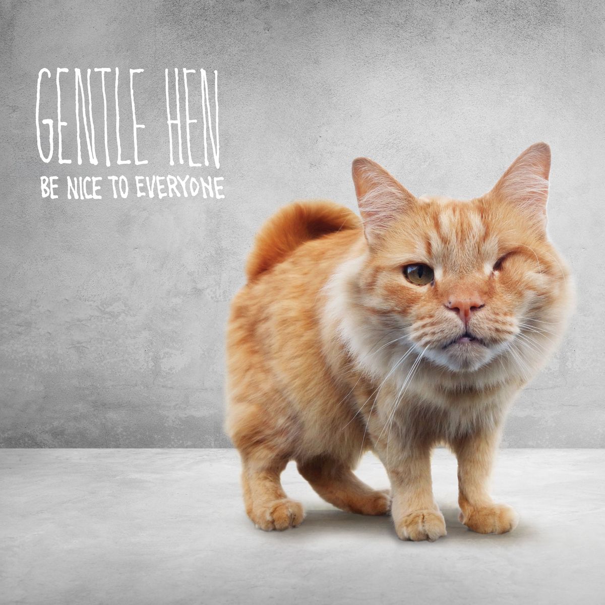 Gentle Hen - Be Nice to Everyone - CD
