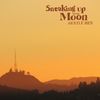 Gentle Hen - Sneaking Up on the Moon - CD
