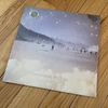 the Fawns - Goodnight, Spacegirl - Vinyl