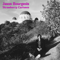 Jason Bourgeois - Strawberry Cactuses by Jason Bourgeois
