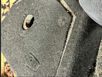 Stripping Fender PA system
