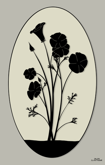 Silhouette Series, California Poppy (2026, Procreate)
