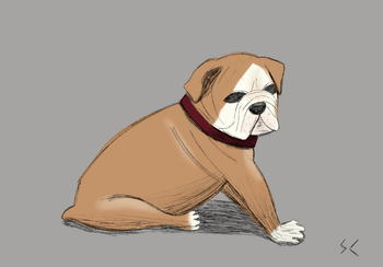 Sitting Proud, the Mighty Bulldog (2025, Procreate)
