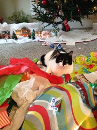 Jazzy Holidaze with Spike and April