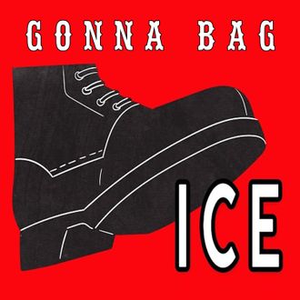 Bag ICE album cover art by Inland Empire folk revivalist singer Jonny Miller Jr