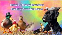 Crissy O's Clucky Chronicles