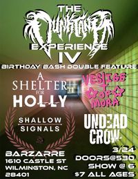 Shallow Signals @ Barzarre