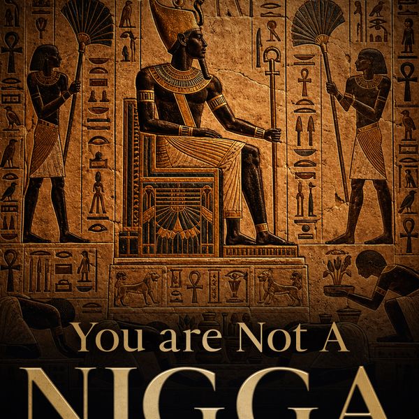You Are Not A Nigga: Why The Hood Is Not Your Heritage 