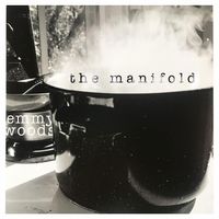 the manifold by emmy woods