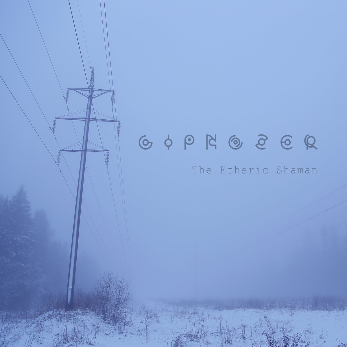 The Etheric Shaman