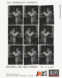 Maximilian Wilfinger
