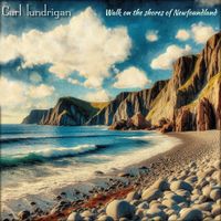 Walk On The Shores Of Newfoundland by Carl Lundrigan 