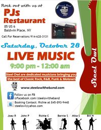 Steel Owl will be back to rock PJ's in Baldwin Place NY!! 