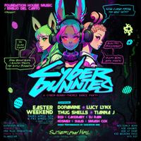 Cyber Bunnies