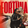The Love is Real 2: Fortuna - Vinyl - Summer Side