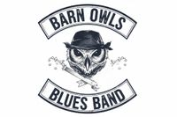 The Barn Owls Live at The Vibe 