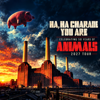 Ha, Ha Charade You Are - Celebrating 50 years of Animals