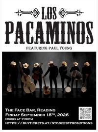 Stogfest, The Face Bar, Reading