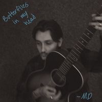 Butterflies In My Head by Mark Diamond