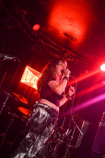 The Viper Room
