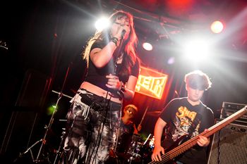 The Viper Room

