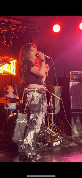 The Viper Room
