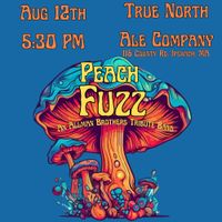Peach Fuzz: An Allman Brothers Tribute Band