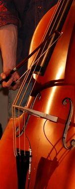 Big Butch Bull Fiddle
