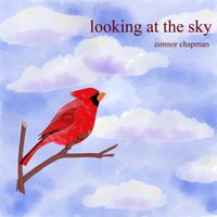 Looking at the Sky by Connor Chapman