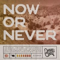 Now or Never by Daniel Card