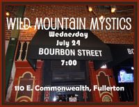 Wild Mountain Mystics