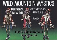 Wild Mountain Mystics