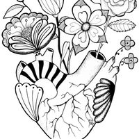 Ablation