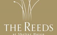 Reed's (Solo Performance)