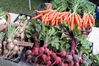 Live @ the Rochester Farmers' Market