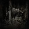 At Midnight, By Torch Light - Black vinyl gatefold LP (includes poster + booklet)