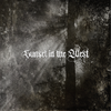 At Midnight, By Torch Light - Black vinyl gatefold LP (includes poster + booklet)