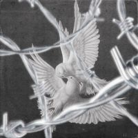 don't feed the birds by reubencmg & BHriz 