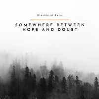 Somewhere Between Hope and Doubt by Blackbird Barn