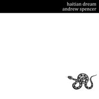 Haitian Dream by Andrew Spencer