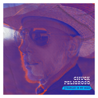 Stranger In My Head by Chuck Peligroso