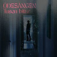 Tusen bitar by Ödesängen