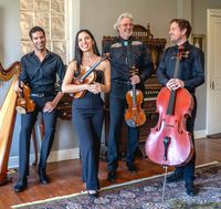 Artisan String Quartet at the Library in Marble Falls - Free Concert
