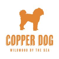 Live @ Copper Dog